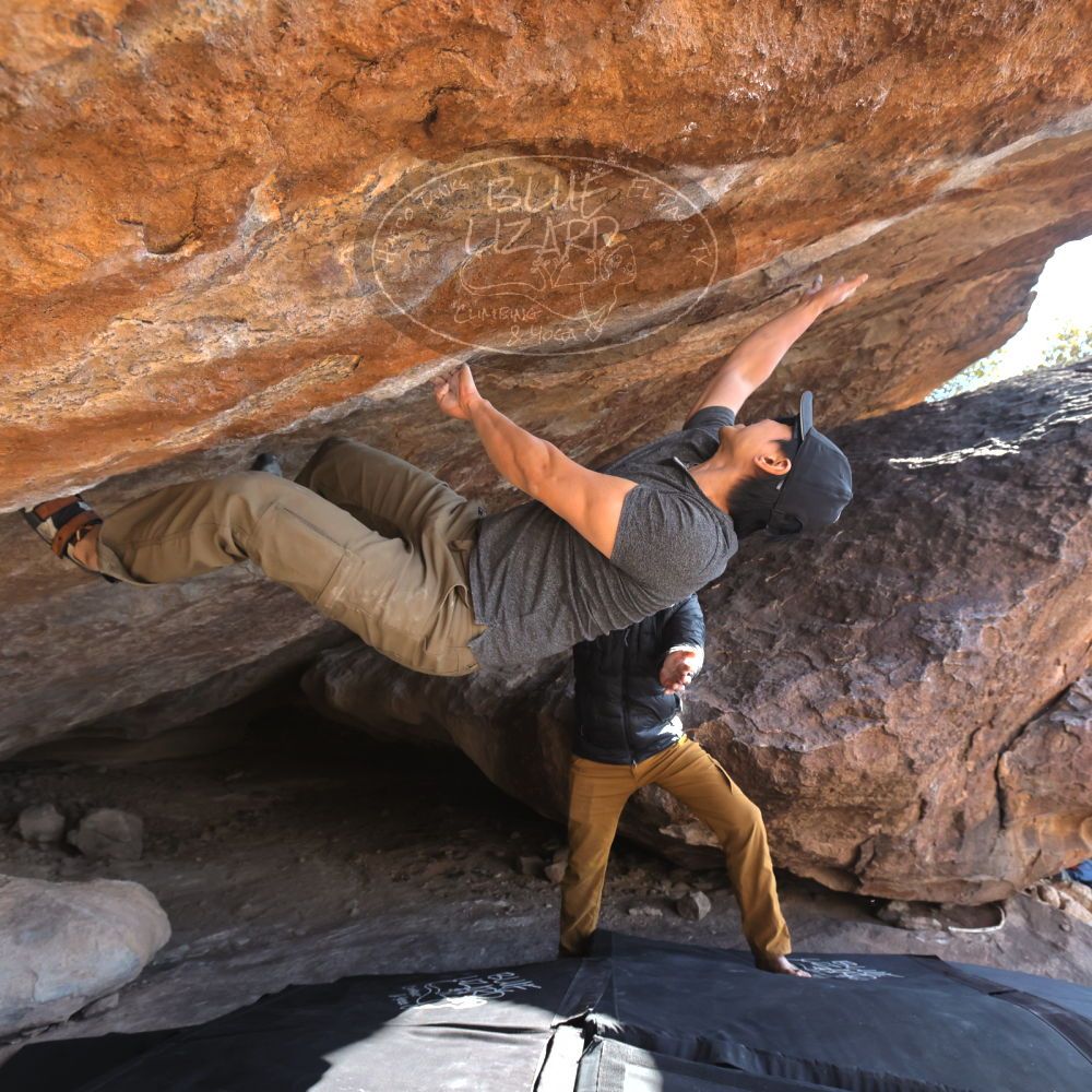 Filename: SRM_20250129_1447500.jpg
Aperture: f/5.6
Shutter Speed: 1/400
Body: Canon EOS R6
Lens: Canon EF 16-35mm f/2.8 L