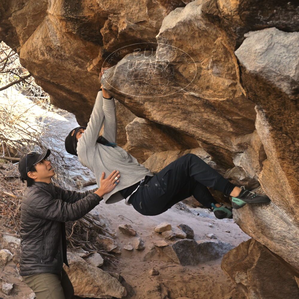 Filename: SRM_20250129_1522410.jpg
Aperture: f/5.6
Shutter Speed: 1/400
Body: Canon EOS R6
Lens: Canon EF 16-35mm f/2.8 L