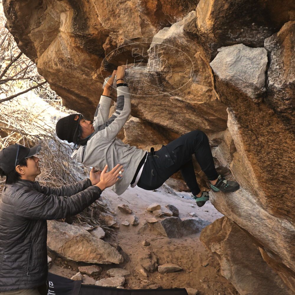 Filename: SRM_20250129_1522490.jpg
Aperture: f/5.6
Shutter Speed: 1/400
Body: Canon EOS R6
Lens: Canon EF 16-35mm f/2.8 L