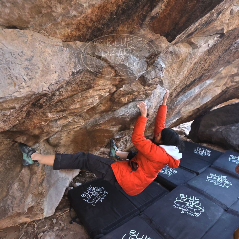 Filename: SRM_20250129_1539480.jpg
Aperture: f/5.6
Shutter Speed: 1/400
Body: Canon EOS R6
Lens: Canon EF 16-35mm f/2.8 L