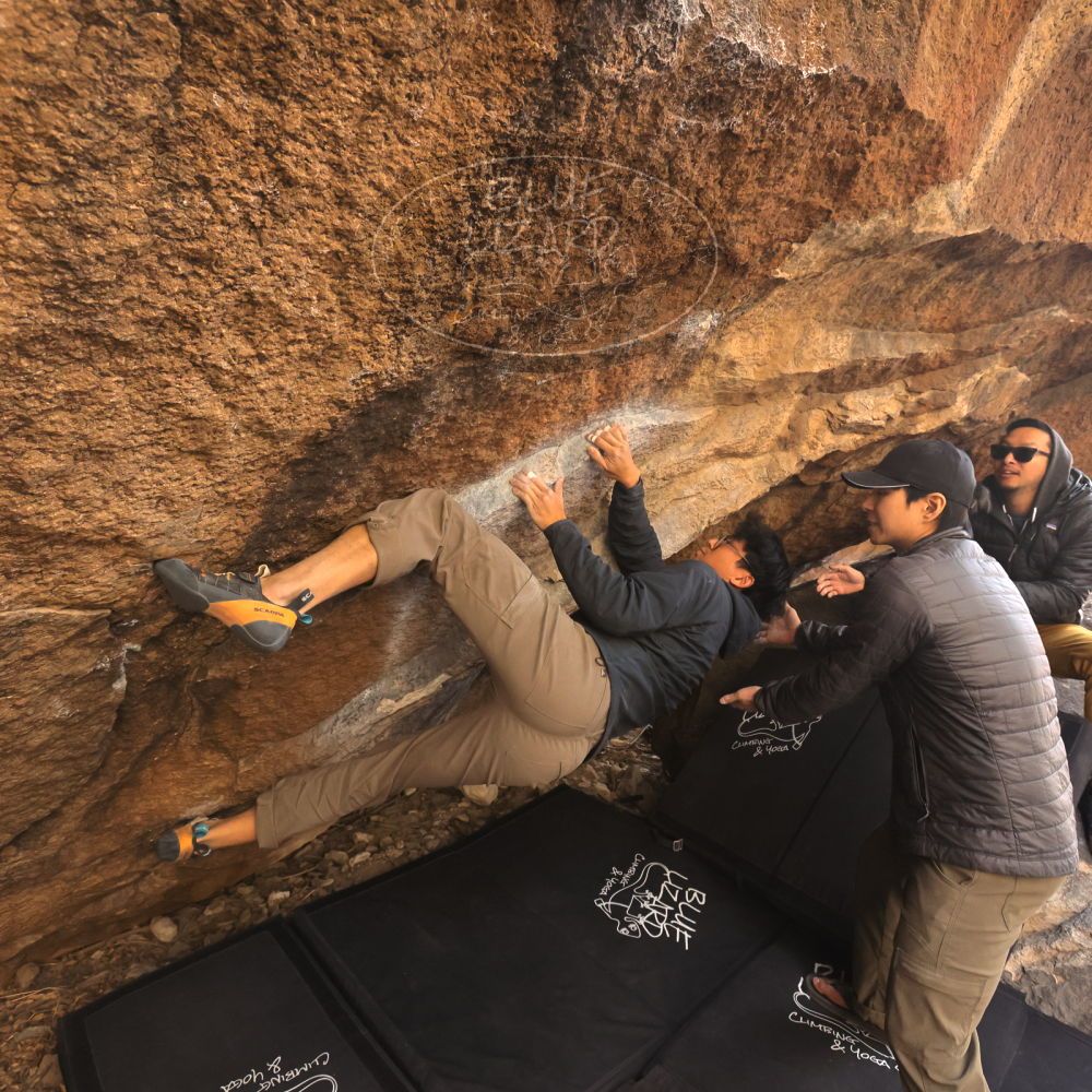 Filename: SRM_20250129_1545050.jpg
Aperture: f/5.6
Shutter Speed: 1/400
Body: Canon EOS R6
Lens: Canon EF 16-35mm f/2.8 L