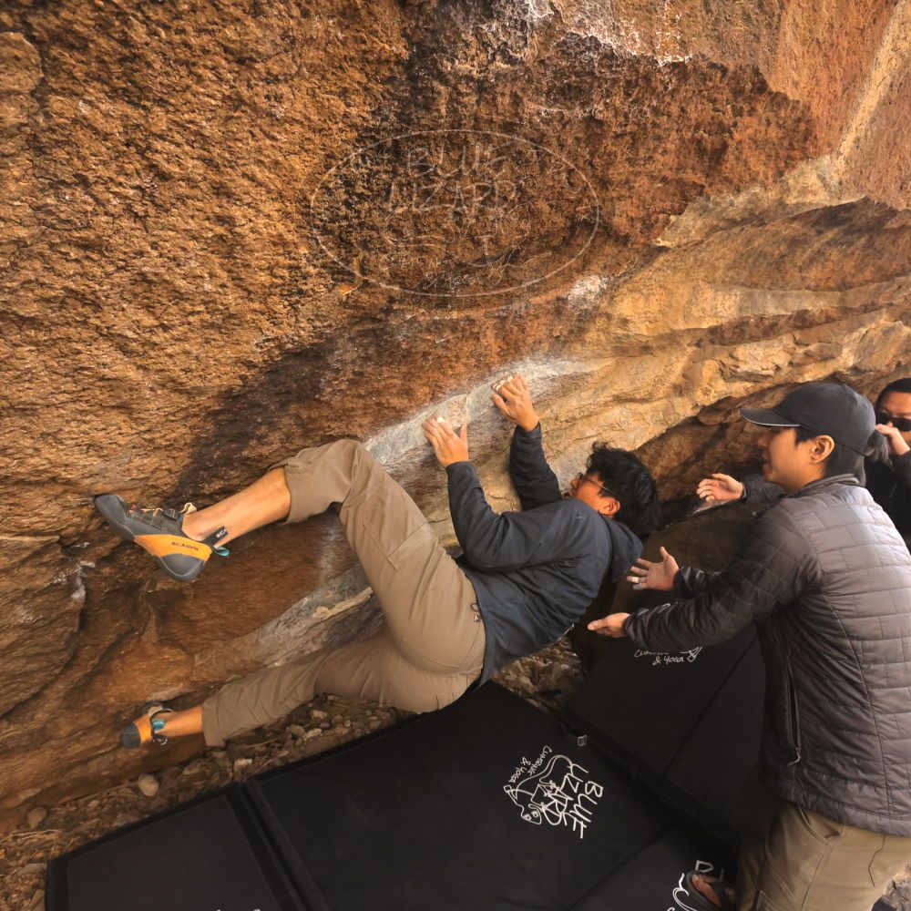 Filename: SRM_20250129_1545060.jpg
Aperture: f/5.6
Shutter Speed: 1/400
Body: Canon EOS R6
Lens: Canon EF 16-35mm f/2.8 L