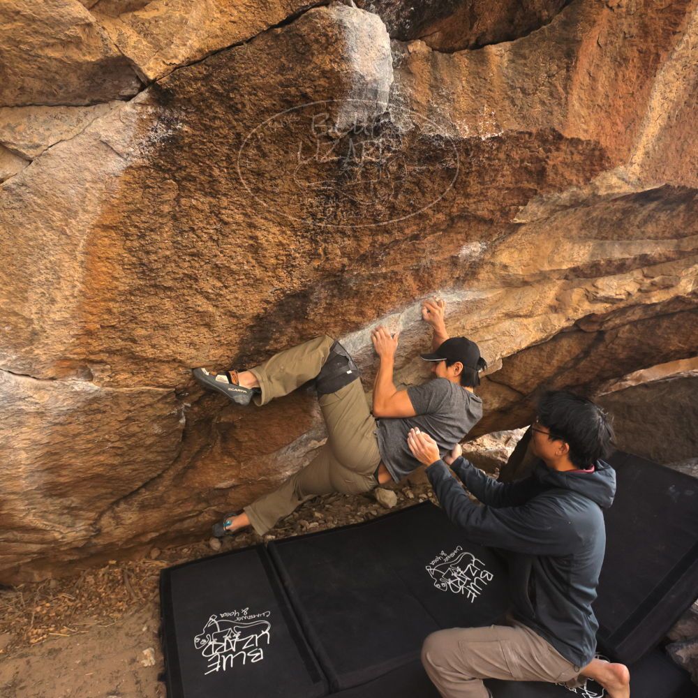 Filename: SRM_20250129_1559320.jpg
Aperture: f/5.6
Shutter Speed: 1/400
Body: Canon EOS R6
Lens: Canon EF 16-35mm f/2.8 L