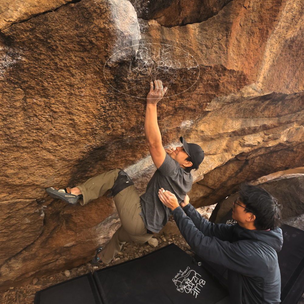 Filename: SRM_20250129_1559350.jpg
Aperture: f/5.6
Shutter Speed: 1/400
Body: Canon EOS R6
Lens: Canon EF 16-35mm f/2.8 L