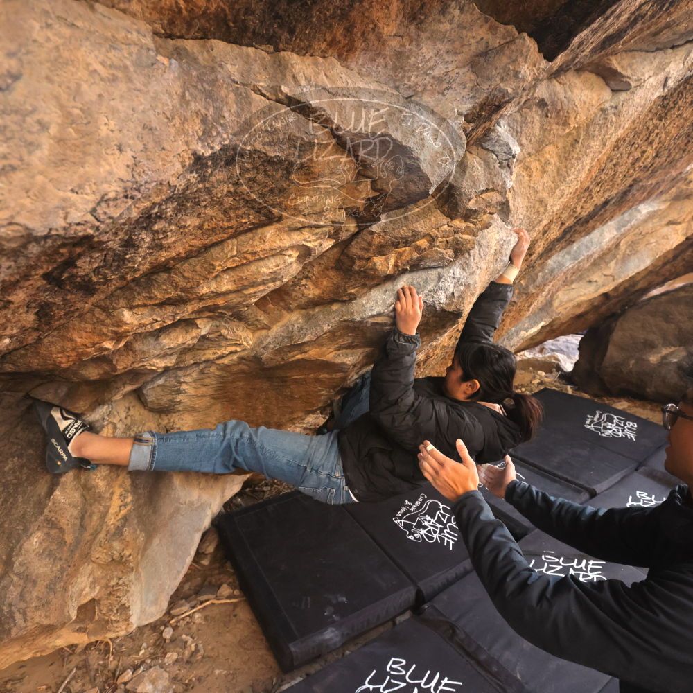 Filename: SRM_20250129_1611360.jpg
Aperture: f/5.6
Shutter Speed: 1/400
Body: Canon EOS R6
Lens: Canon EF 16-35mm f/2.8 L