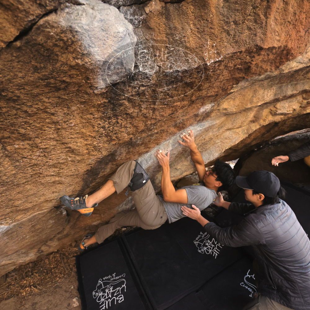 Filename: SRM_20250129_1616580.jpg
Aperture: f/5.6
Shutter Speed: 1/400
Body: Canon EOS R6
Lens: Canon EF 16-35mm f/2.8 L