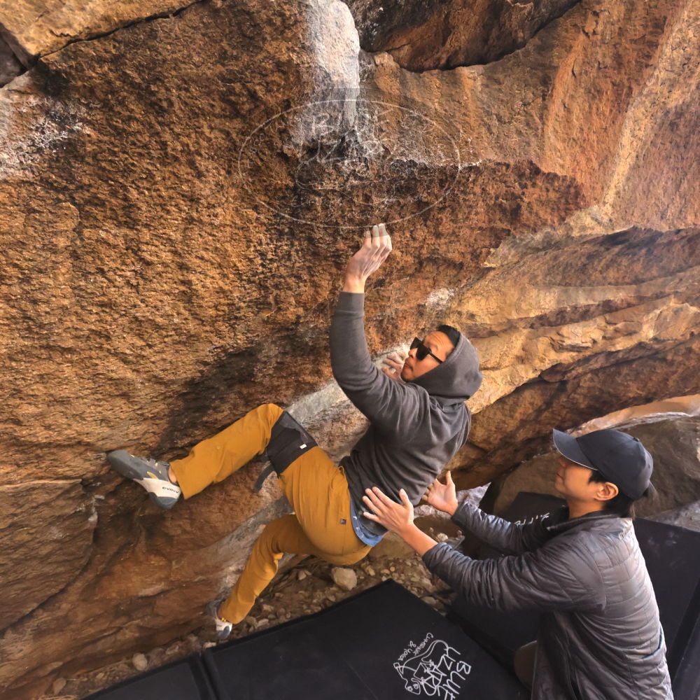 Filename: SRM_20250129_1625570.jpg
Aperture: f/5.6
Shutter Speed: 1/400
Body: Canon EOS R6
Lens: Canon EF 16-35mm f/2.8 L