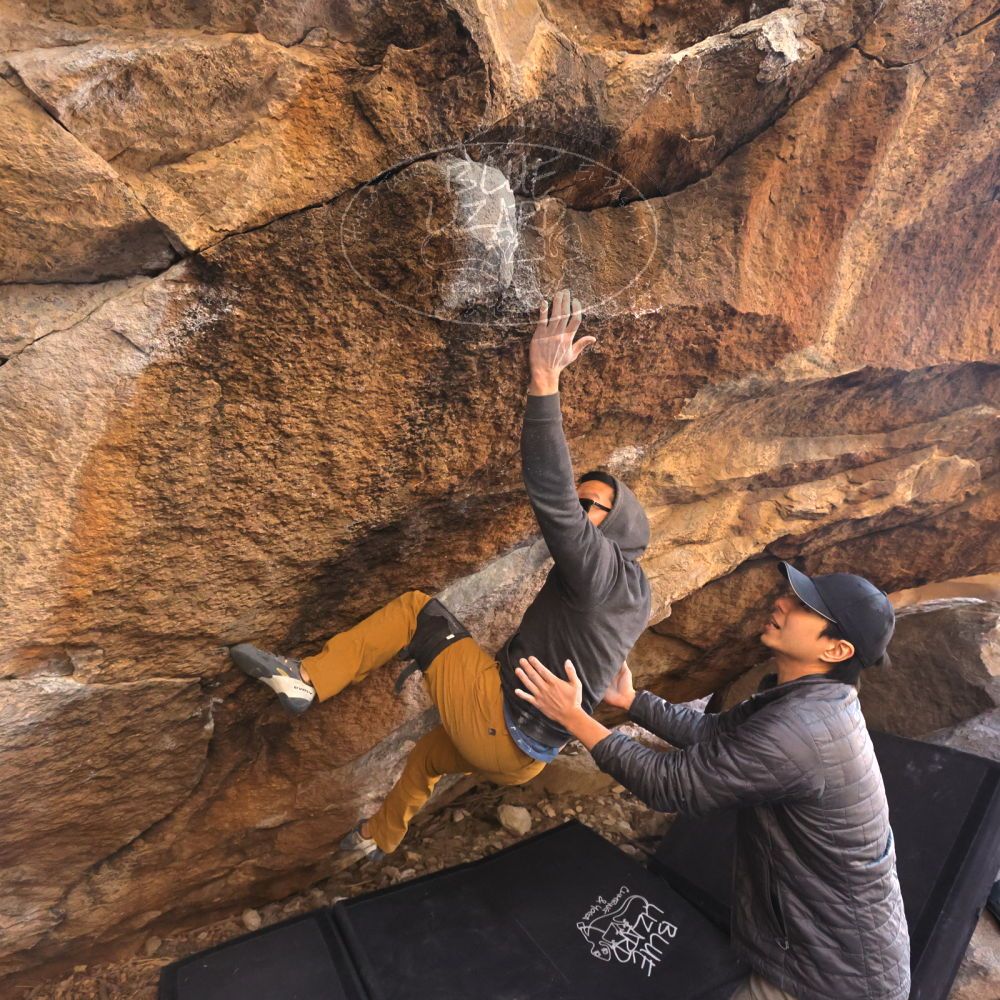 Filename: SRM_20250129_1625580.jpg
Aperture: f/5.6
Shutter Speed: 1/400
Body: Canon EOS R6
Lens: Canon EF 16-35mm f/2.8 L