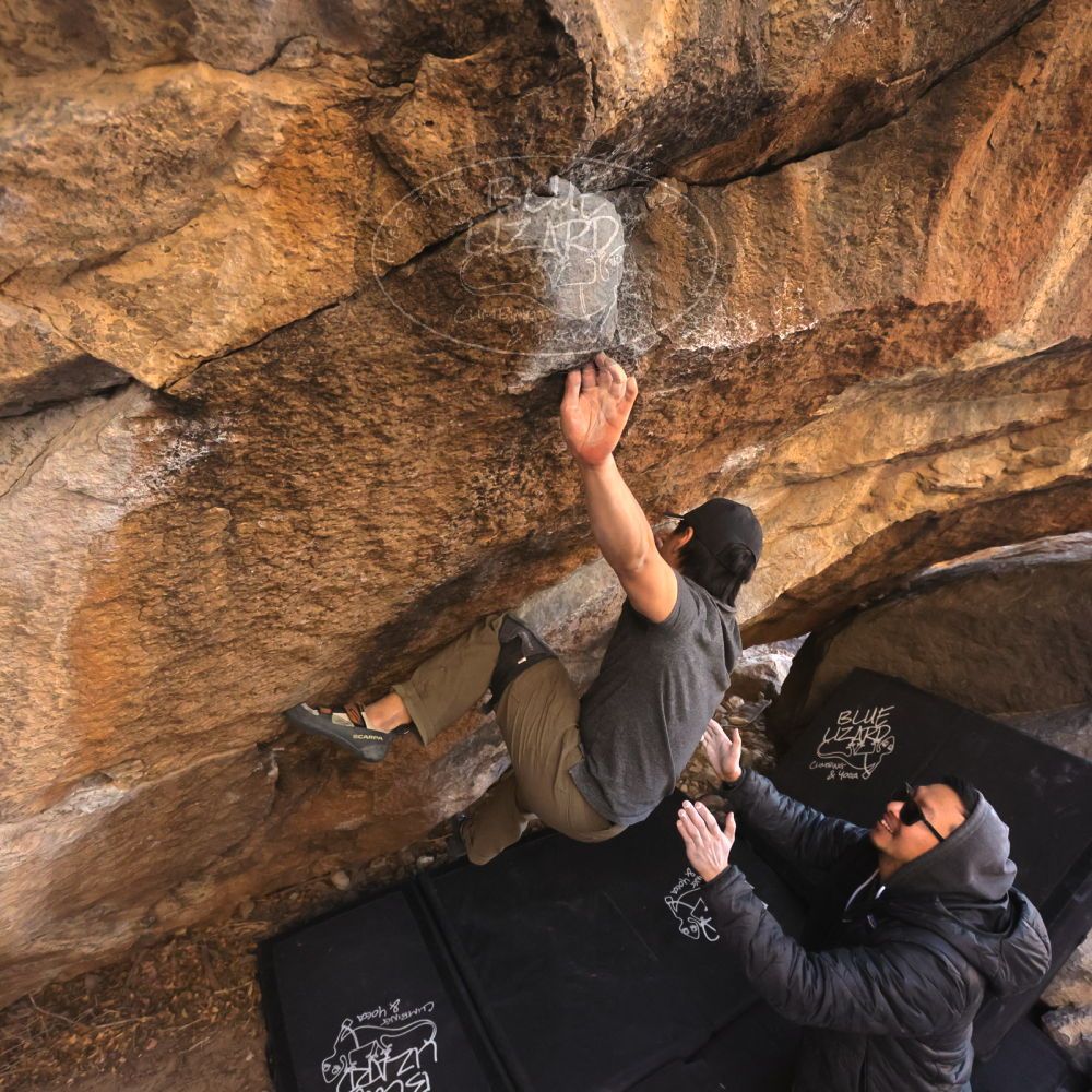 Filename: SRM_20250129_1631050.jpg
Aperture: f/5.6
Shutter Speed: 1/400
Body: Canon EOS R6
Lens: Canon EF 16-35mm f/2.8 L