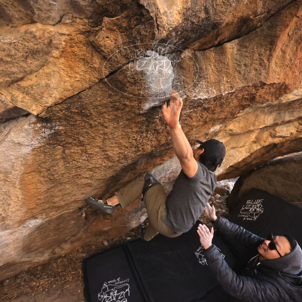 Filename: SRM_20250129_1631080.jpg
Aperture: f/5.6
Shutter Speed: 1/400
Body: Canon EOS R6
Lens: Canon EF 16-35mm f/2.8 L