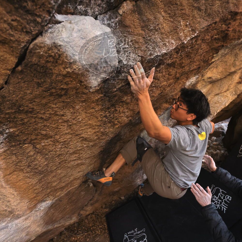 Filename: SRM_20250129_1636081.jpg
Aperture: f/5.6
Shutter Speed: 1/400
Body: Canon EOS R6
Lens: Canon EF 16-35mm f/2.8 L