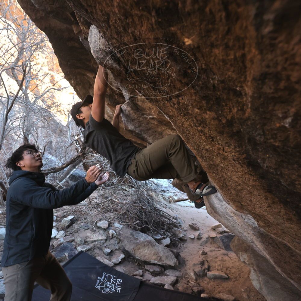 Filename: SRM_20250129_1644200.jpg
Aperture: f/5.6
Shutter Speed: 1/400
Body: Canon EOS R6
Lens: Canon EF 16-35mm f/2.8 L