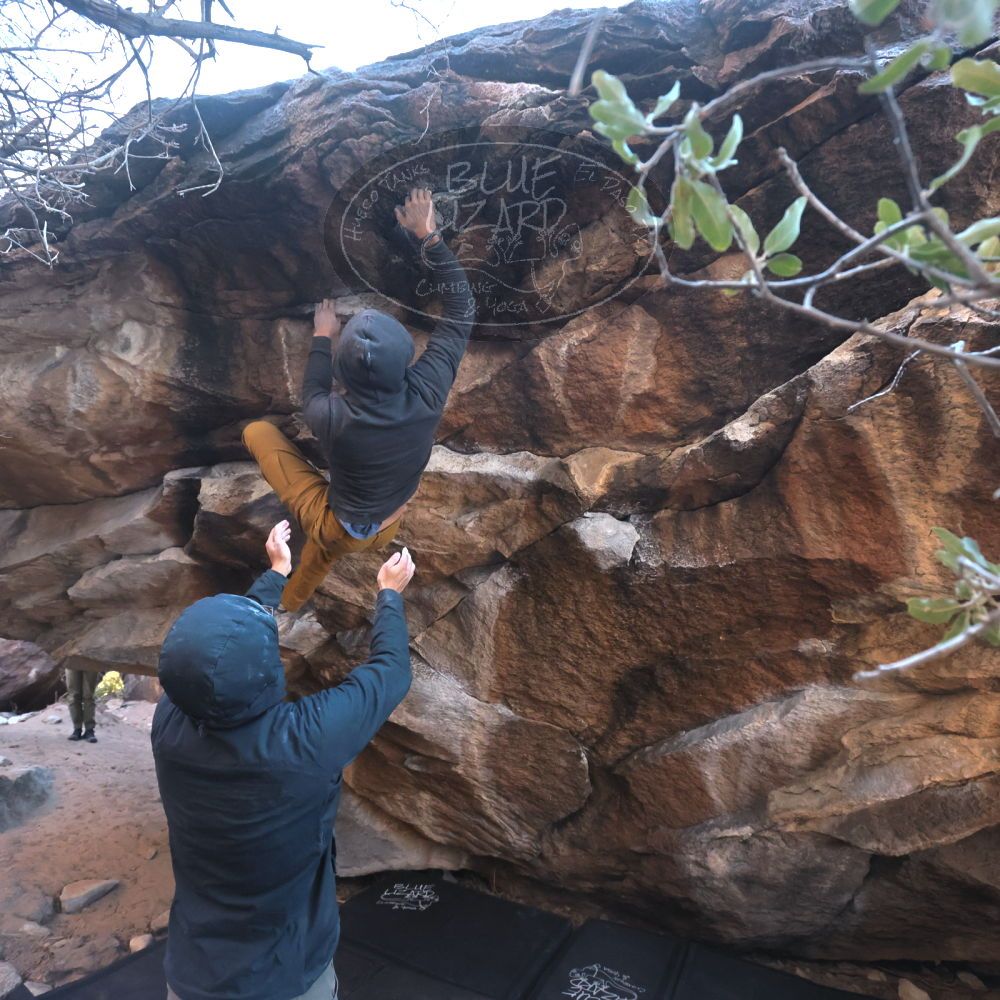 Filename: SRM_20250129_1648060.jpg
Aperture: f/5.6
Shutter Speed: 1/400
Body: Canon EOS R6
Lens: Canon EF 16-35mm f/2.8 L