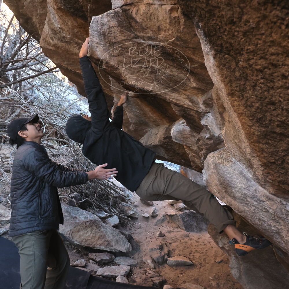 Filename: SRM_20250129_1650260.jpg
Aperture: f/5.6
Shutter Speed: 1/400
Body: Canon EOS R6
Lens: Canon EF 16-35mm f/2.8 L