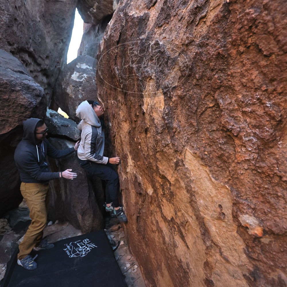 Filename: SRM_20250129_1707460.jpg
Aperture: f/5.6
Shutter Speed: 1/400
Body: Canon EOS R6
Lens: Canon EF 16-35mm f/2.8 L