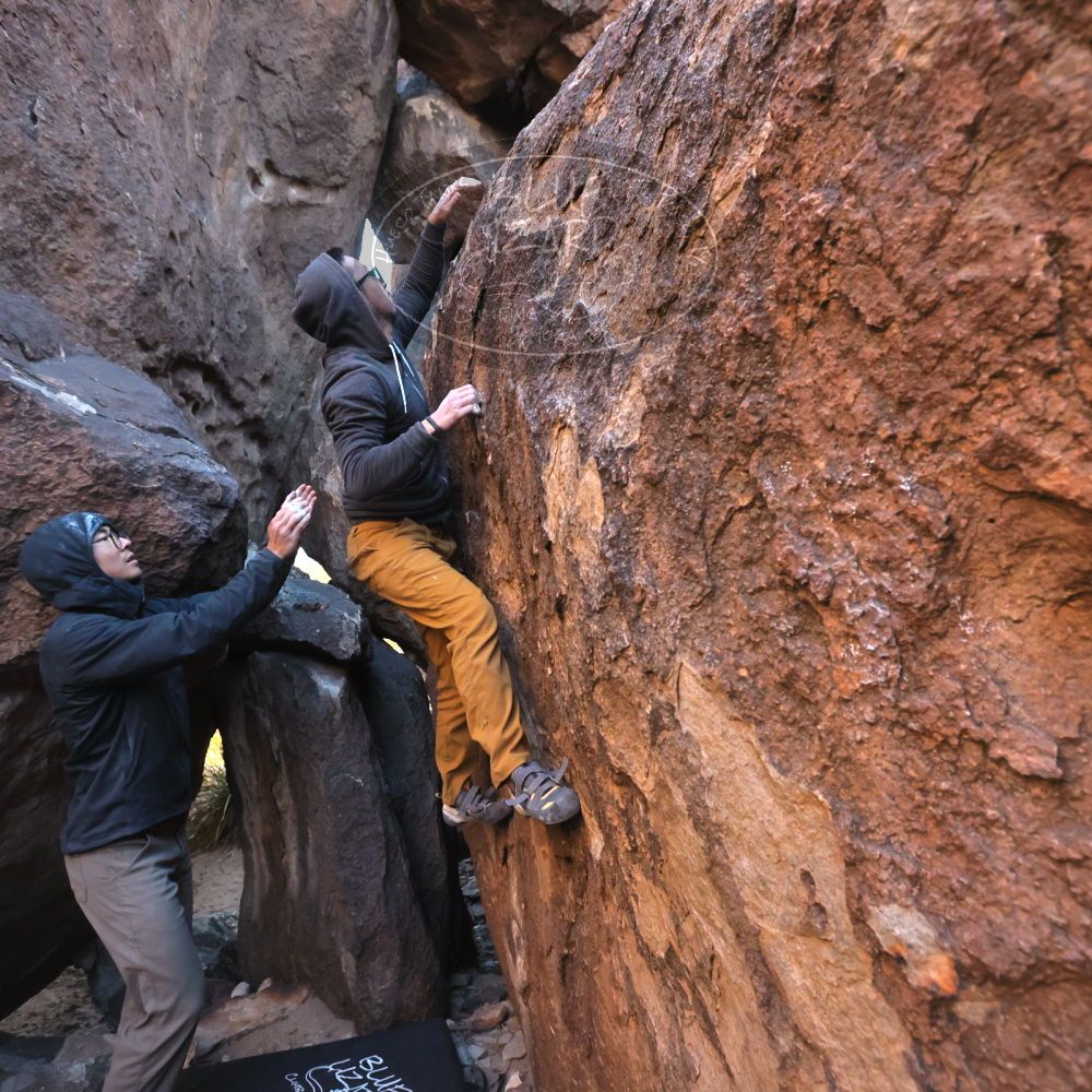 Filename: SRM_20250129_1708230.jpg
Aperture: f/5.6
Shutter Speed: 1/400
Body: Canon EOS R6
Lens: Canon EF 16-35mm f/2.8 L