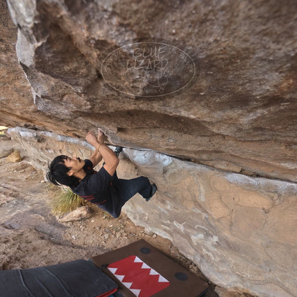 Filename: SRM_20250201_1055530.jpg
Aperture: f/5.6
Shutter Speed: 1/400
Body: Canon EOS R6
Lens: Canon EF 16-35mm f/2.8 L