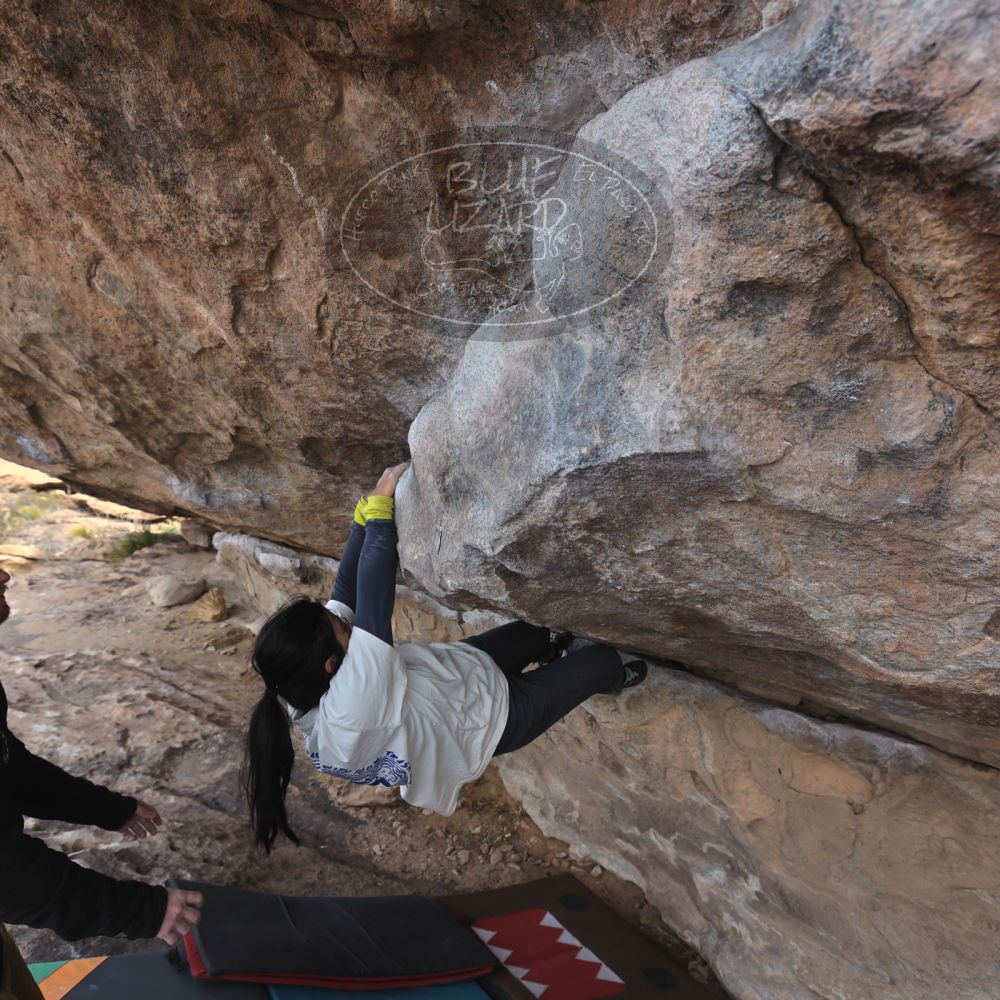 Filename: SRM_20250201_1059560.jpg
Aperture: f/5.6
Shutter Speed: 1/400
Body: Canon EOS R6
Lens: Canon EF 16-35mm f/2.8 L