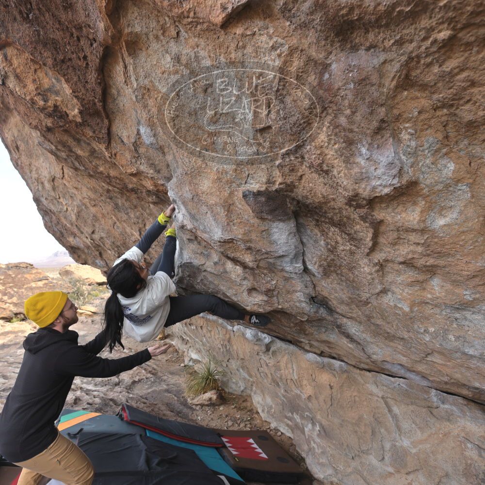 Filename: SRM_20250201_1100120.jpg
Aperture: f/5.6
Shutter Speed: 1/400
Body: Canon EOS R6
Lens: Canon EF 16-35mm f/2.8 L