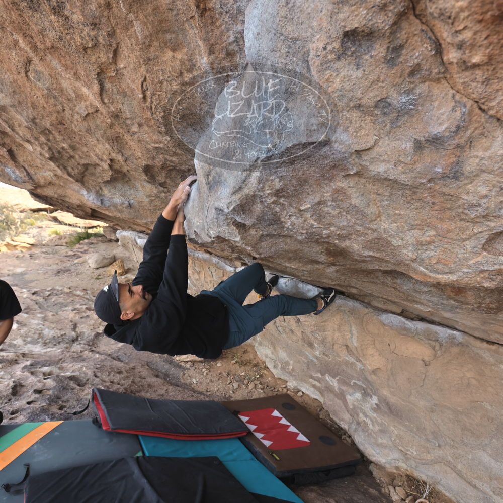 Filename: SRM_20250201_1103080.jpg
Aperture: f/5.6
Shutter Speed: 1/400
Body: Canon EOS R6
Lens: Canon EF 16-35mm f/2.8 L