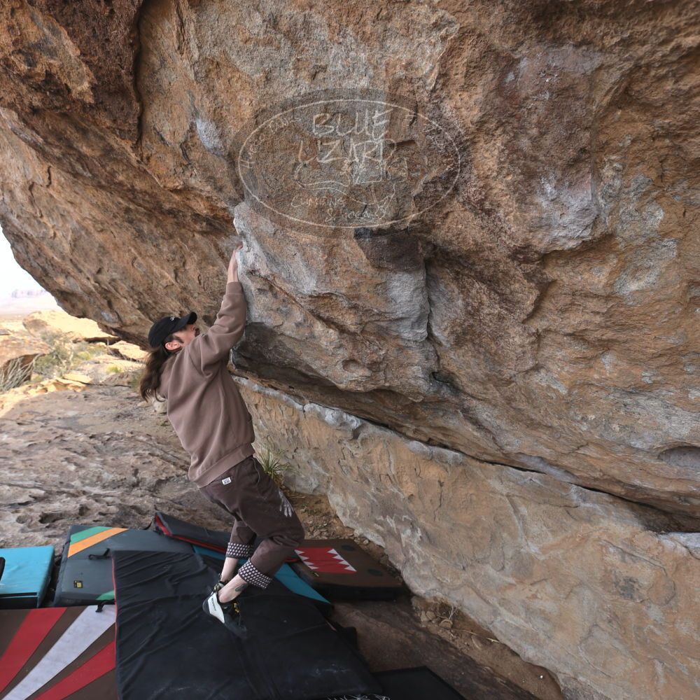 Filename: SRM_20250201_1106480.jpg
Aperture: f/5.6
Shutter Speed: 1/400
Body: Canon EOS R6
Lens: Canon EF 16-35mm f/2.8 L