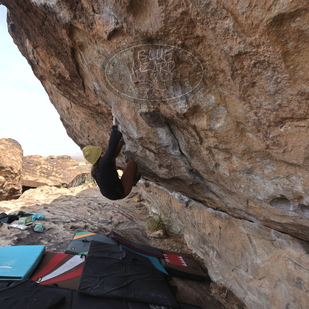 Filename: SRM_20250201_1111200.jpg
Aperture: f/5.6
Shutter Speed: 1/400
Body: Canon EOS R6
Lens: Canon EF 16-35mm f/2.8 L