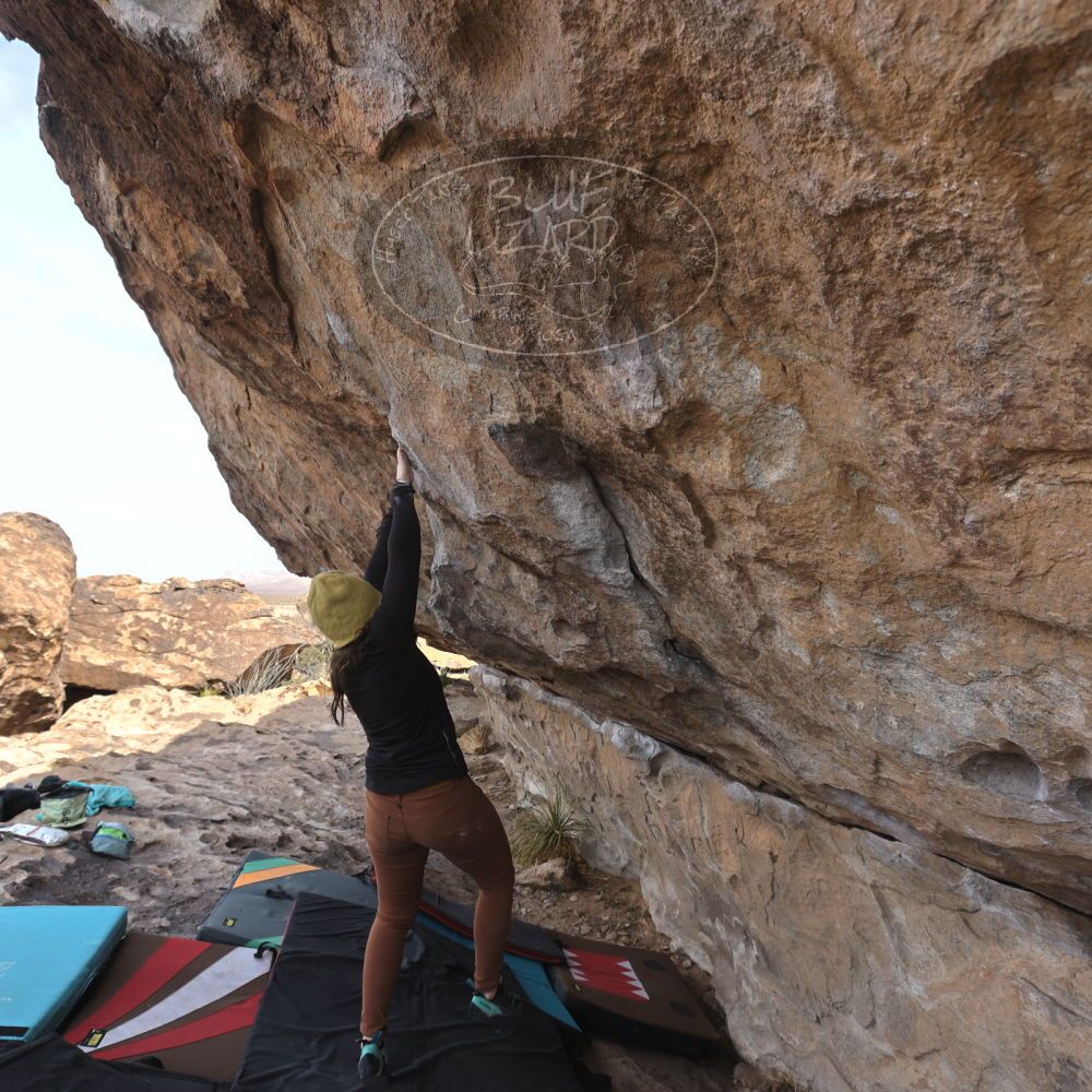 Filename: SRM_20250201_1111230.jpg
Aperture: f/5.6
Shutter Speed: 1/400
Body: Canon EOS R6
Lens: Canon EF 16-35mm f/2.8 L