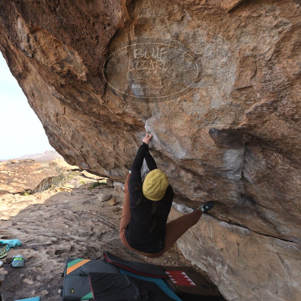 Filename: SRM_20250201_1112320.jpg
Aperture: f/5.6
Shutter Speed: 1/400
Body: Canon EOS R6
Lens: Canon EF 16-35mm f/2.8 L