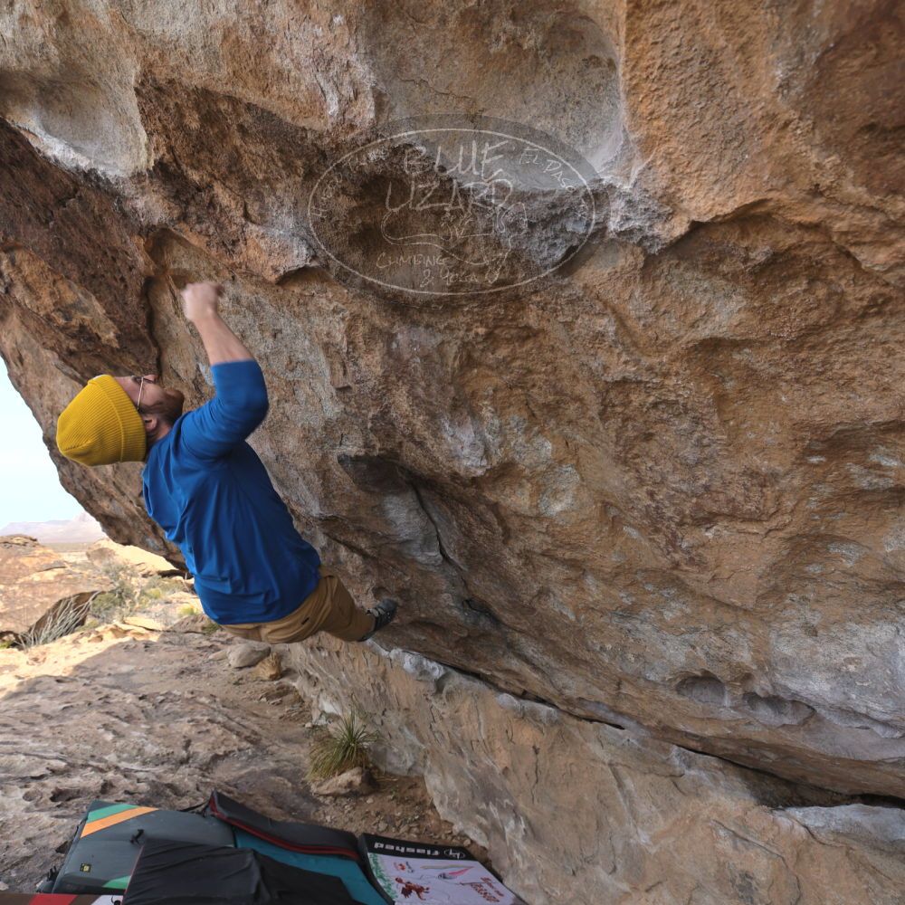 Filename: SRM_20250201_1125190.jpg
Aperture: f/5.6
Shutter Speed: 1/400
Body: Canon EOS R6
Lens: Canon EF 16-35mm f/2.8 L