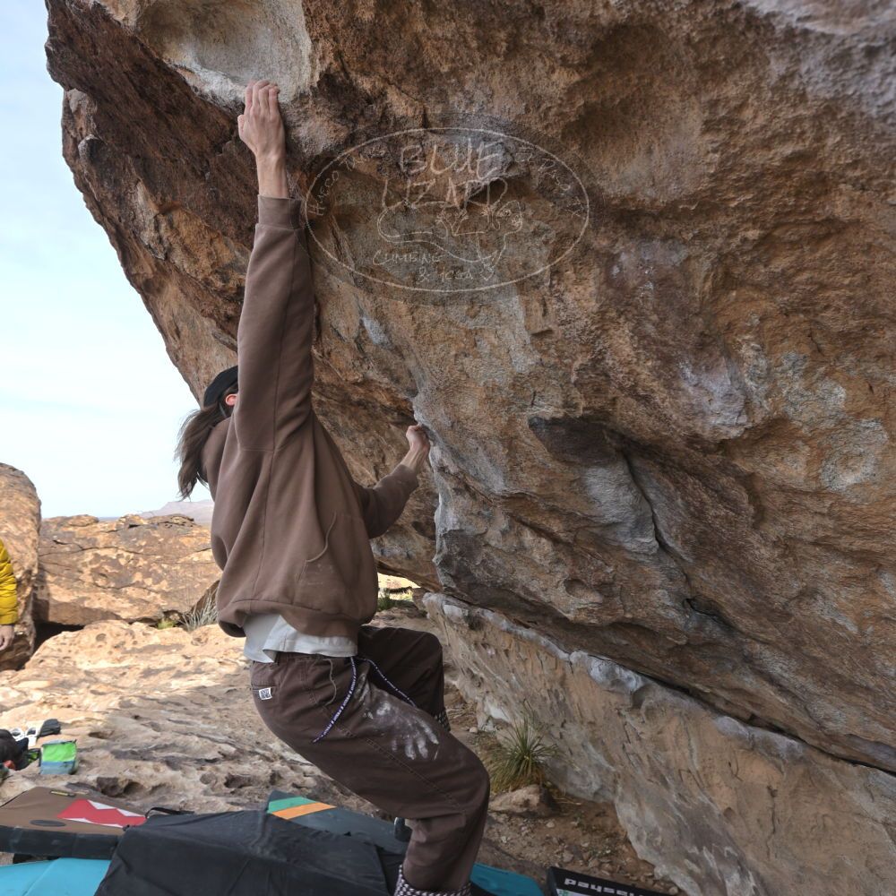 Filename: SRM_20250201_1149303.jpg
Aperture: f/5.6
Shutter Speed: 1/400
Body: Canon EOS R6
Lens: Canon EF 16-35mm f/2.8 L