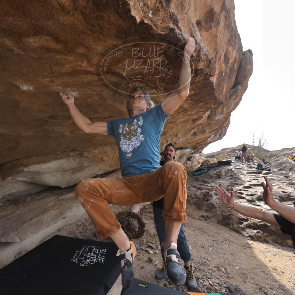 Filename: SRM_20250201_1235360.jpg
Aperture: f/5.6
Shutter Speed: 1/400
Body: Canon EOS R6
Lens: Canon EF 16-35mm f/2.8 L