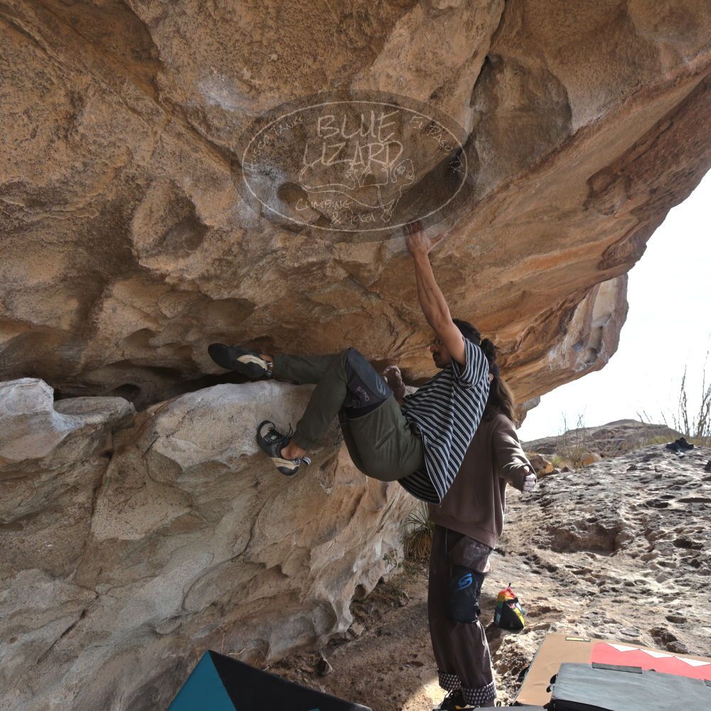 Filename: SRM_20250201_1350300.jpg
Aperture: f/5.6
Shutter Speed: 1/400
Body: Canon EOS R6
Lens: Canon EF 16-35mm f/2.8 L