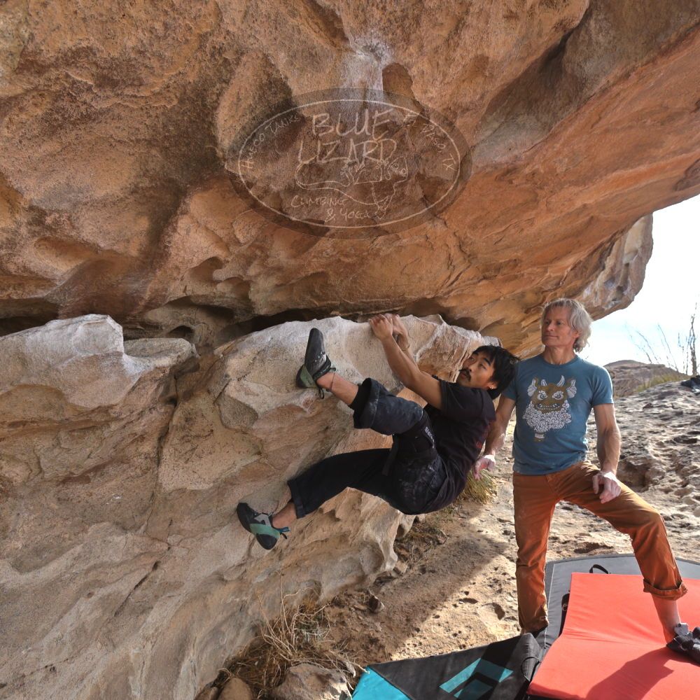 Filename: SRM_20250201_1402590.jpg
Aperture: f/5.6
Shutter Speed: 1/400
Body: Canon EOS R6
Lens: Canon EF 16-35mm f/2.8 L