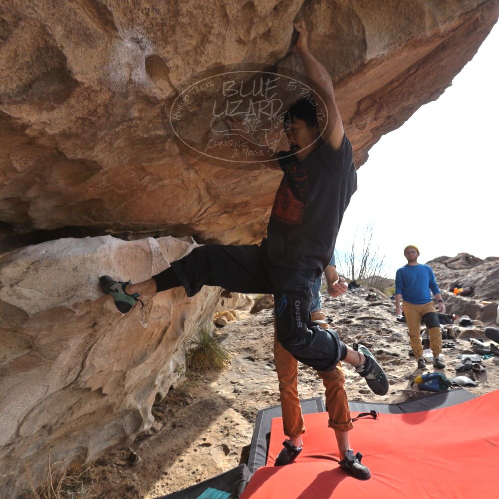 Filename: SRM_20250201_1403120.jpg
Aperture: f/5.6
Shutter Speed: 1/400
Body: Canon EOS R6
Lens: Canon EF 16-35mm f/2.8 L