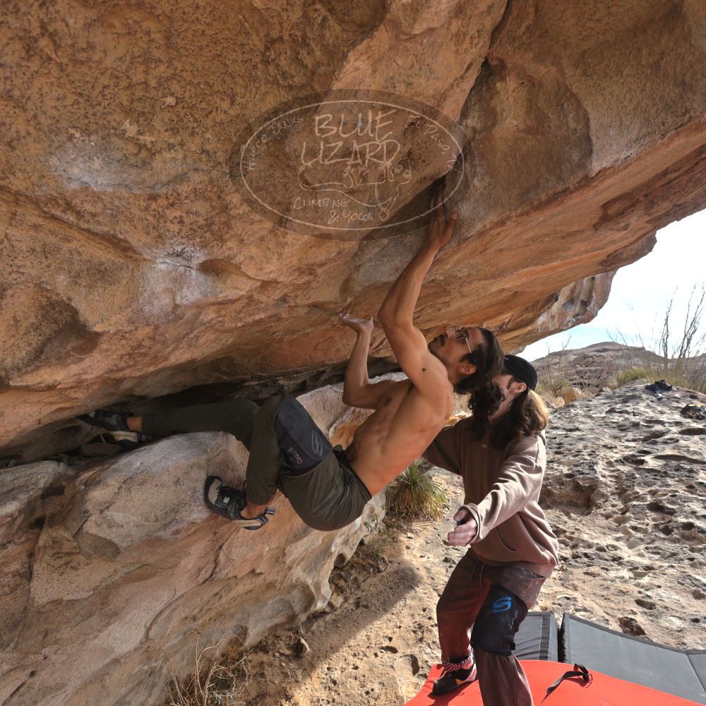 Filename: SRM_20250201_1409411.jpg
Aperture: f/5.6
Shutter Speed: 1/400
Body: Canon EOS R6
Lens: Canon EF 16-35mm f/2.8 L