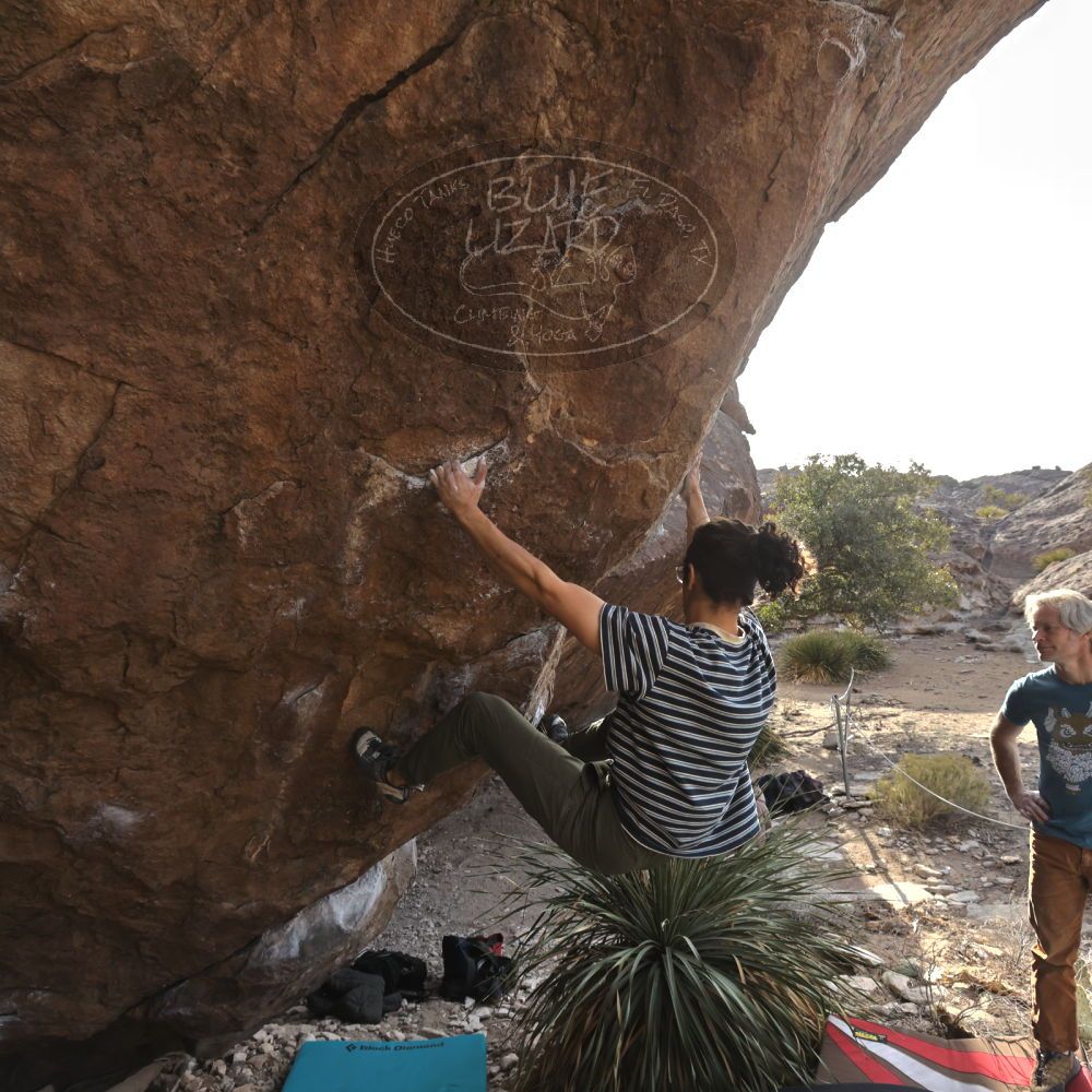 Filename: SRM_20250201_1535160.jpg
Aperture: f/8.0
Shutter Speed: 1/800
Body: Canon EOS R6
Lens: Canon EF 16-35mm f/2.8 L