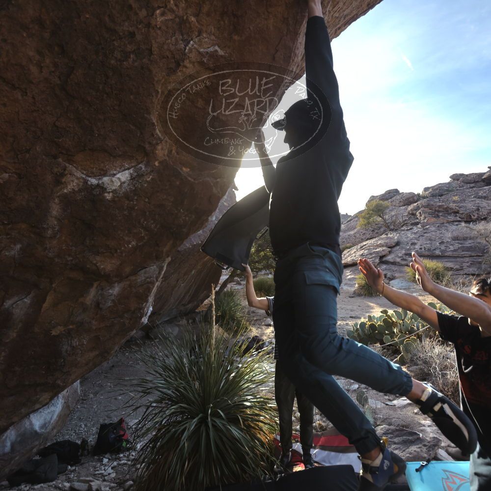 Filename: SRM_20250201_1609371.jpg
Aperture: f/5.6
Shutter Speed: 1/800
Body: Canon EOS R6
Lens: Canon EF 16-35mm f/2.8 L