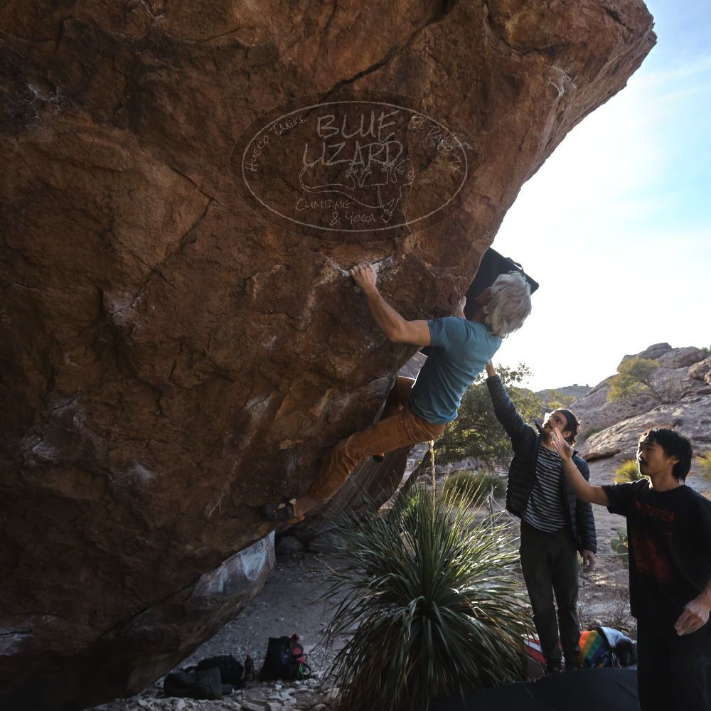 Filename: SRM_20250201_1617030.jpg
Aperture: f/5.6
Shutter Speed: 1/800
Body: Canon EOS R6
Lens: Canon EF 16-35mm f/2.8 L