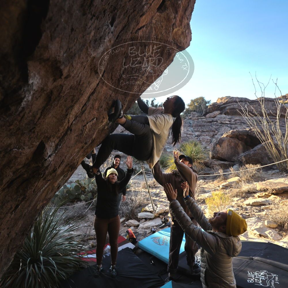 

Filename: SRM_20250201_1655380.jpg
Aperture: f/5.6
Shutter Speed: 1/800
Body: Canon EOS R6
Lens: Canon EF 16-35mm f/2.8 L