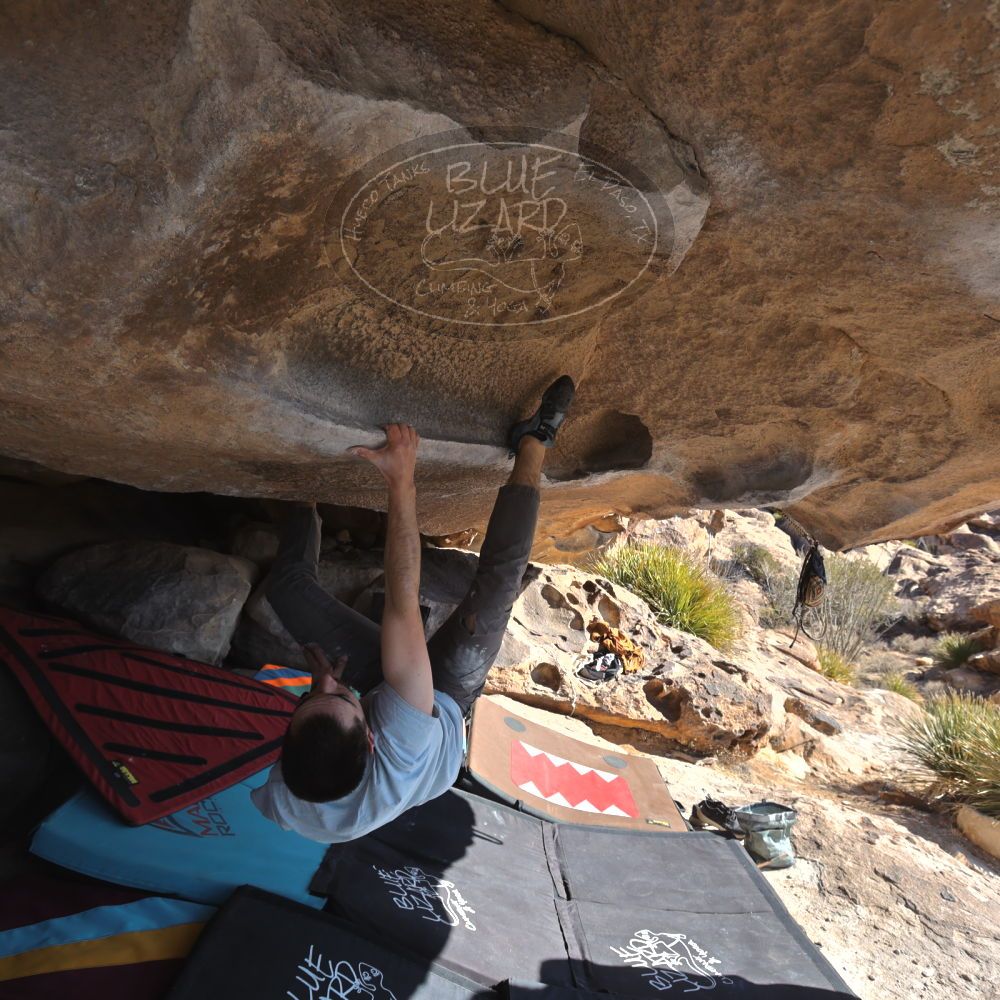 Filename: SRM_20250202_1033470.jpg
Aperture: f/5.6
Shutter Speed: 1/400
Body: Canon EOS R6
Lens: Canon EF 16-35mm f/2.8 L