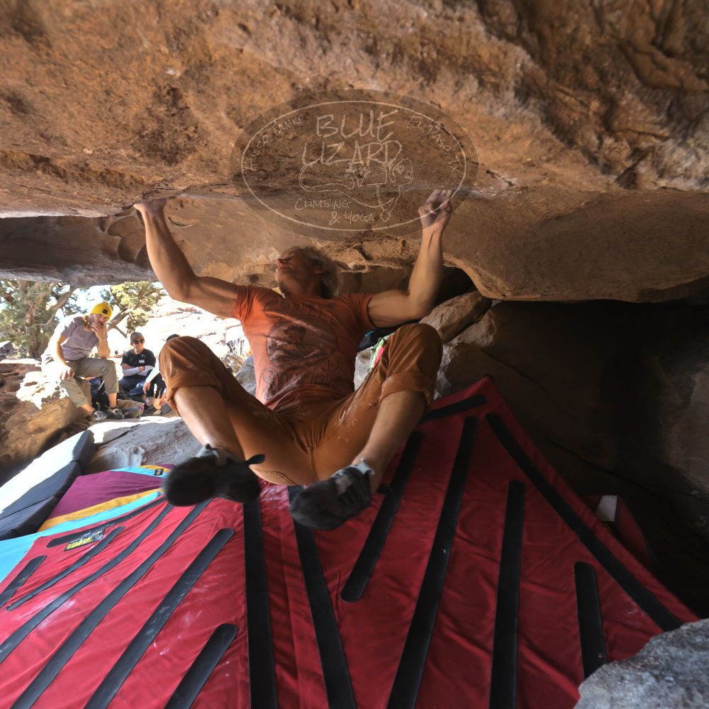 

Filename: SRM_20250202_1039331.jpg
Aperture: f/5.6
Shutter Speed: 1/400
Body: Canon EOS R6
Lens: Canon EF 16-35mm f/2.8 L