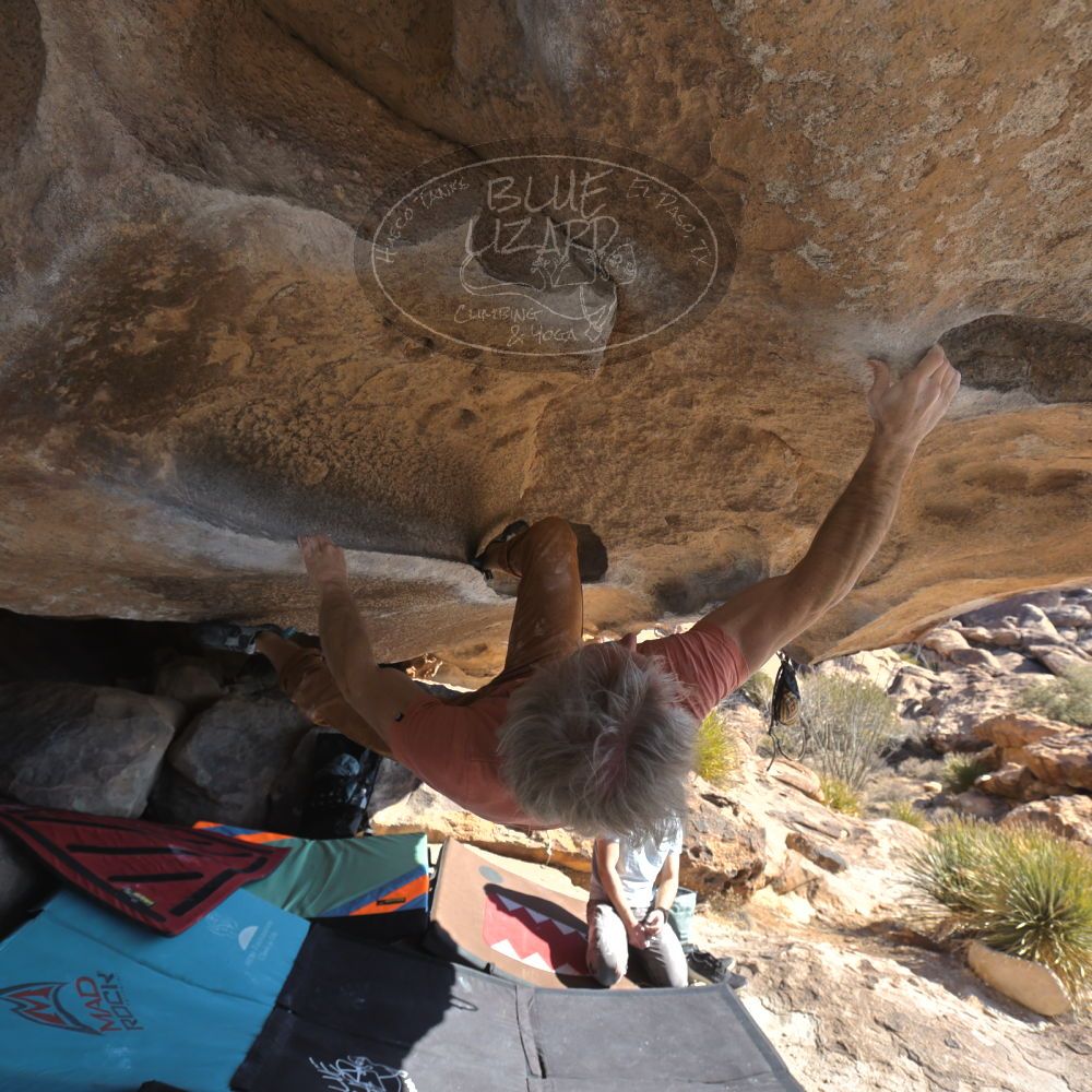 Filename: SRM_20250202_1047390.jpg
Aperture: f/5.6
Shutter Speed: 1/400
Body: Canon EOS R6
Lens: Canon EF 16-35mm f/2.8 L