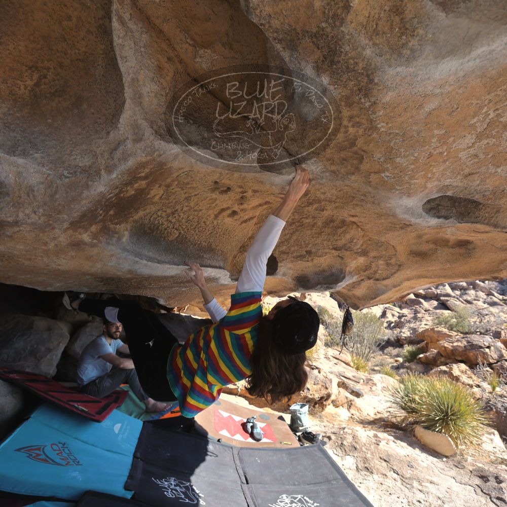 Filename: SRM_20250202_1052210.jpg
Aperture: f/5.6
Shutter Speed: 1/400
Body: Canon EOS R6
Lens: Canon EF 16-35mm f/2.8 L