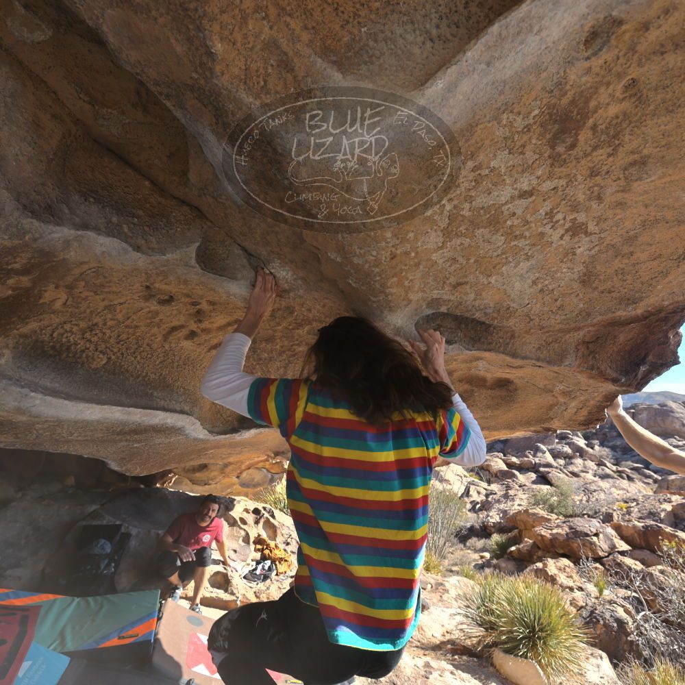 

Filename: SRM_20250202_1100340.jpg
Aperture: f/5.6
Shutter Speed: 1/400
Body: Canon EOS R6
Lens: Canon EF 16-35mm f/2.8 L