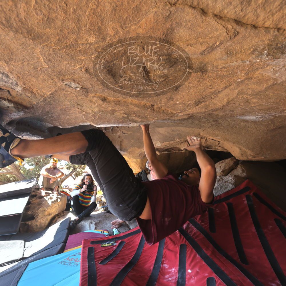 

Filename: SRM_20250202_1119250.jpg
Aperture: f/5.6
Shutter Speed: 1/320
Body: Canon EOS R6
Lens: Canon EF 16-35mm f/2.8 L