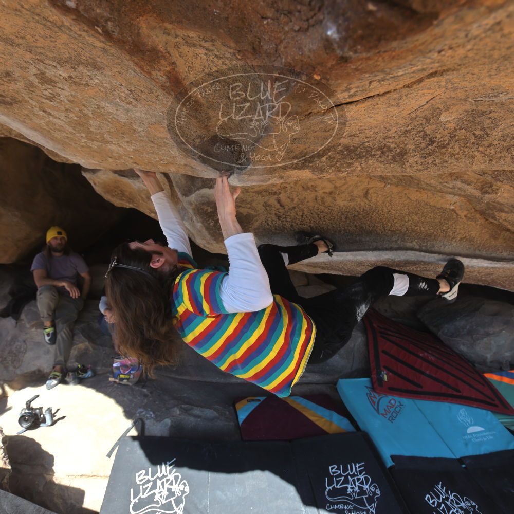 Filename: SRM_20250202_1127570.jpg
Aperture: f/5.6
Shutter Speed: 1/320
Body: Canon EOS R6
Lens: Canon EF 16-35mm f/2.8 L