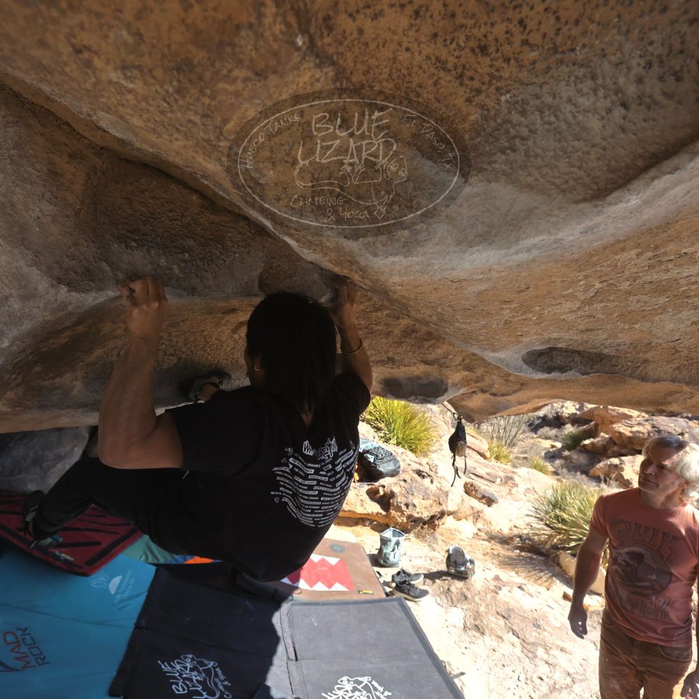 

Filename: SRM_20250202_1135450.jpg
Aperture: f/5.6
Shutter Speed: 1/640
Body: Canon EOS R6
Lens: Canon EF 16-35mm f/2.8 L