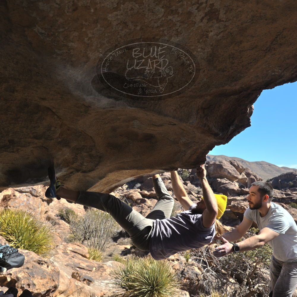 Filename: SRM_20250202_1231230.jpg
Aperture: f/5.6
Shutter Speed: 1/500
Body: Canon EOS R6
Lens: Canon EF 16-35mm f/2.8 L