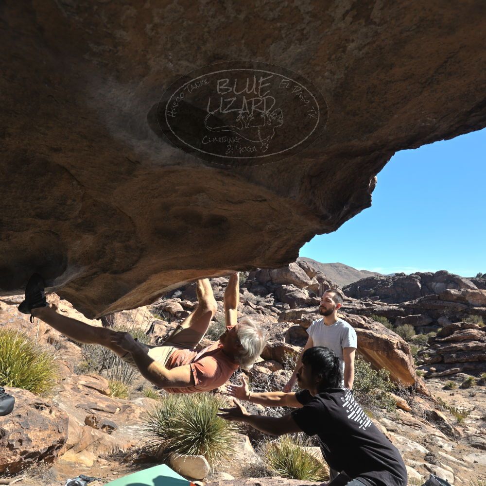 Filename: SRM_20250202_1232530.jpg
Aperture: f/5.6
Shutter Speed: 1/500
Body: Canon EOS R6
Lens: Canon EF 16-35mm f/2.8 L