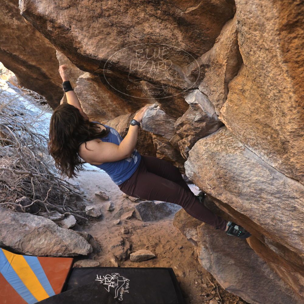 Filename: SRM_20250202_1553550.jpg
Aperture: f/5.6
Shutter Speed: 1/400
Body: Canon EOS R6
Lens: Canon EF 16-35mm f/2.8 L